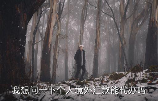 我想問一下個(gè)人境外匯款能代辦嗎