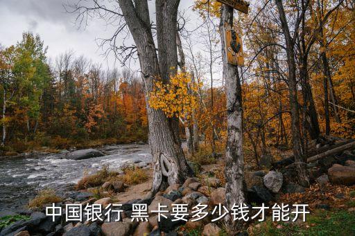 中國(guó)銀行 黑卡要多少錢才能開(kāi)