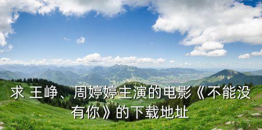 求 王崢、周婷婷主演的電影《不能沒(méi)有你》的下載地址
