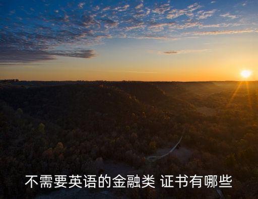 銀行風(fēng)險(xiǎn)與監(jiān)管?chē)?guó)際證書(shū)考試