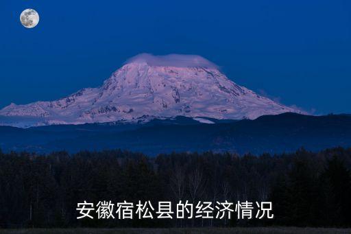 安徽宿松縣的經濟情況