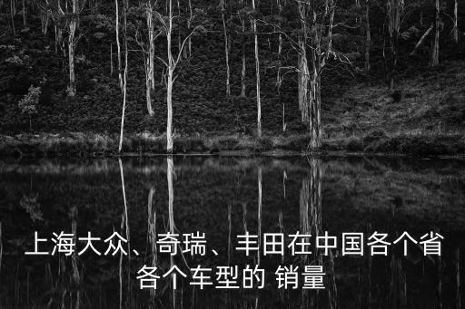  上海大眾、奇瑞、豐田在中國各個省各個車型的 銷量