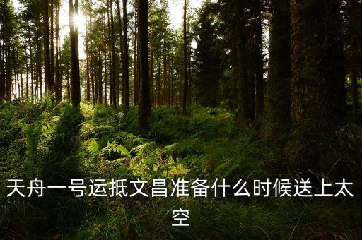 天舟一號運(yùn)抵文昌準(zhǔn)備什么時候送上太空