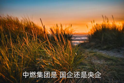 中燃集團(tuán)是 國(guó)企還是央企