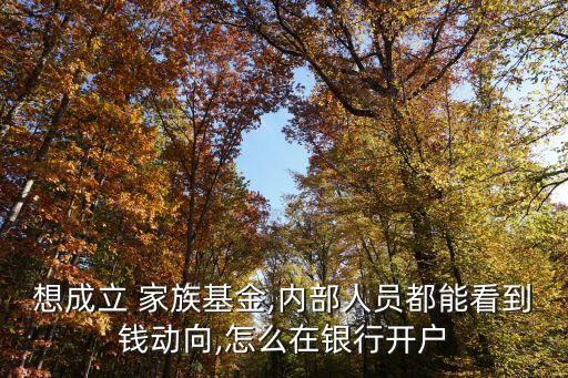 想成立 家族基金,內(nèi)部人員都能看到錢(qián)動(dòng)向,怎么在銀行開(kāi)戶(hù)