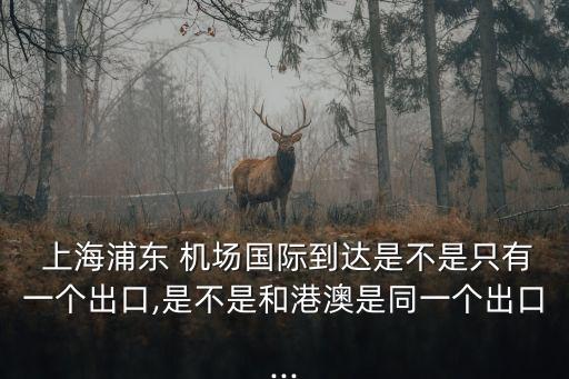  上海浦東 機(jī)場(chǎng)國際到達(dá)是不是只有一個(gè)出口,是不是和港澳是同一個(gè)出口...