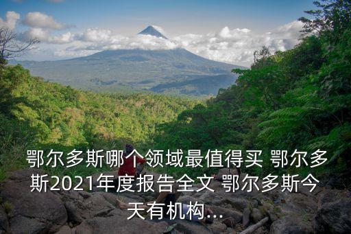  鄂爾多斯哪個領(lǐng)域最值得買 鄂爾多斯2021年度報告全文 鄂爾多斯今天有機(jī)構(gòu)...
