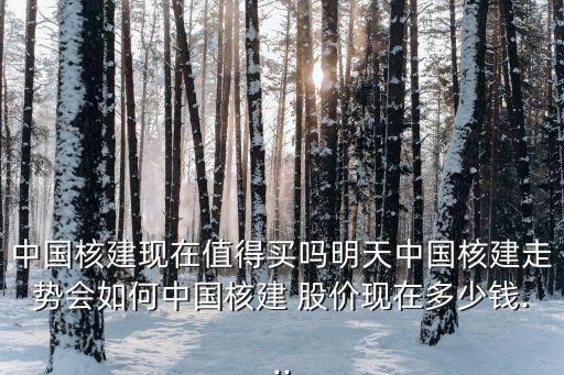 中國核建現(xiàn)在值得買嗎明天中國核建走勢會如何中國核建 股價(jià)現(xiàn)在多少錢...