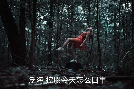 泛海控股股票,000046泛?？毓晒善?/></a></span><span id=