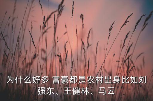 為什么好多 富豪都是農(nóng)村出身比如劉強(qiáng)東、王健林、馬云