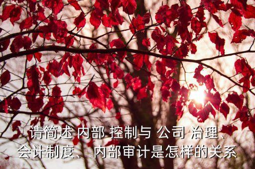 請簡述 內(nèi)部 控制與 公司 治理、會計(jì)制度、 內(nèi)部審計(jì)是怎樣的關(guān)系