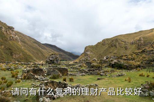 請問有什么復(fù)利的理財產(chǎn)品比較好