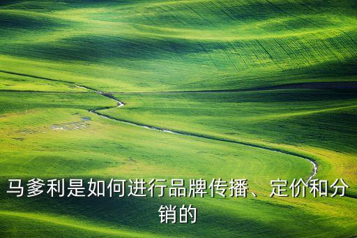 馬爹利是如何進(jìn)行品牌傳播、定價(jià)和分銷的