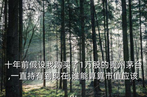 十年前假設(shè)我購買了1萬股的貴州茅臺,一直持有到現(xiàn)在,誰能算算市值應(yīng)該...