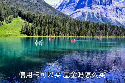 匯添富現(xiàn)金寶購(gòu)買(mǎi)的什么基金