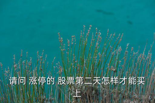 股票漲停后怎么買,已經(jīng)漲停的股票怎么買