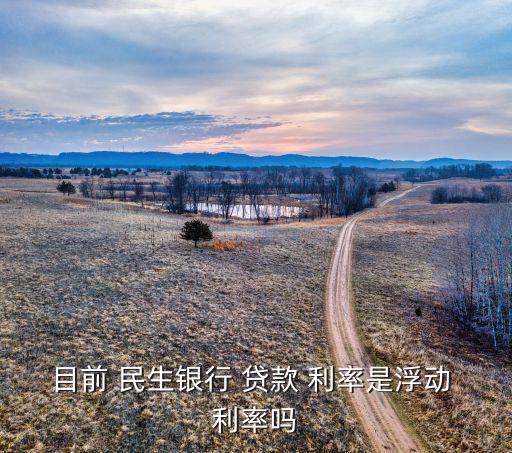 民生銀行買(mǎi)房貸款利率