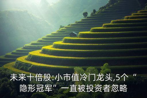 未來(lái)十倍股:小市值冷門(mén)龍頭,5個(gè)“隱形冠軍”一直被投資者忽略