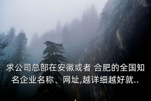 求公司總部在安徽或者 合肥的全國(guó)知名企業(yè)名稱(chēng)、網(wǎng)址,越詳細(xì)越好就...
