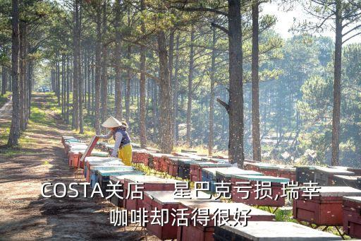 COSTA關(guān)店、 星巴克虧損,瑞幸咖啡卻活得很好