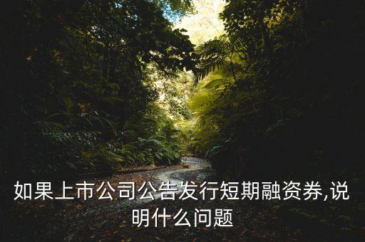如果上市公司公告發(fā)行短期融資券,說(shuō)明什么問(wèn)題