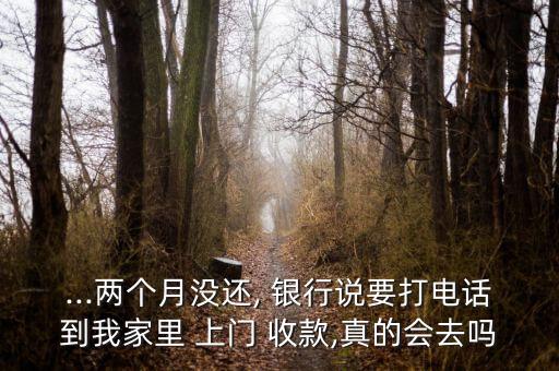 ...兩個(gè)月沒(méi)還, 銀行說(shuō)要打電話到我家里 上門 收款,真的會(huì)去嗎