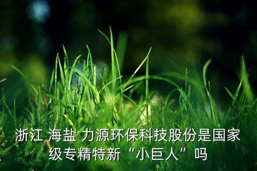 浙江 海鹽 力源環(huán)?？萍脊煞菔菄壹墝＞匦隆靶【奕恕眴? class=