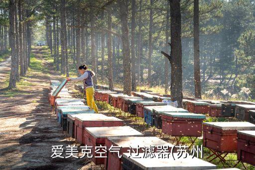 愛美克空氣 過(guò)濾器(蘇州