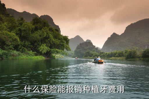 什么保險(xiǎn)能報(bào)銷(xiāo)種植牙費(fèi)用