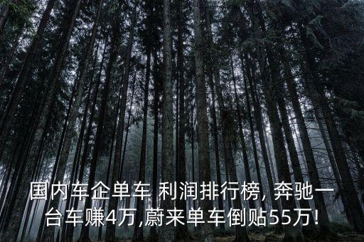 國(guó)內(nèi)車企單車 利潤(rùn)排行榜, 奔馳一臺(tái)車賺4萬(wàn),蔚來單車倒貼55萬(wàn)!