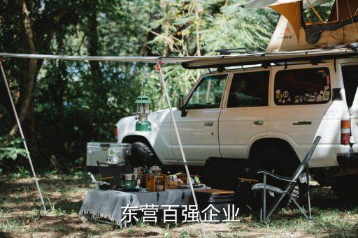  東營(yíng)百強(qiáng)企業(yè)