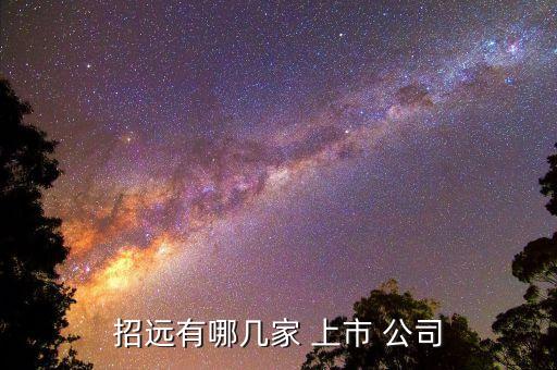 招遠(yuǎn)有哪幾家 上市 公司