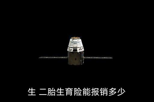 生 二胎生育險能報銷多少