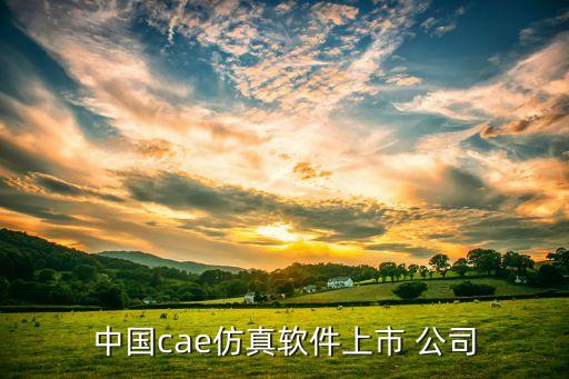 中國(guó)cae仿真軟件上市 公司