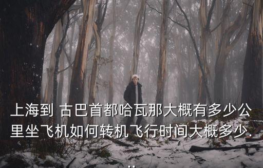 上海到 古巴首都哈瓦那大概有多少公里坐飛機(jī)如何轉(zhuǎn)機(jī)飛行時間大概多少...