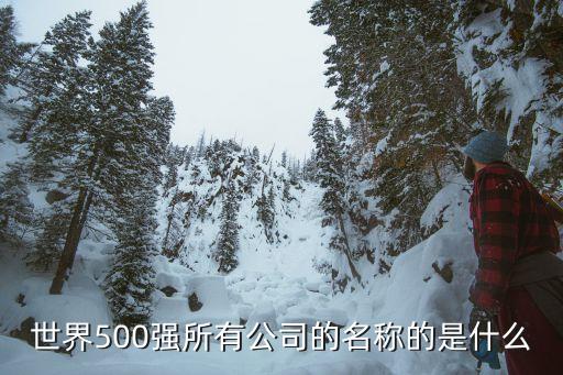 世界500強所有公司的名稱的是什么