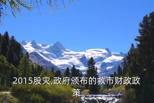 2015股災(zāi),政府頒布的救市財政政策