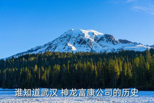 誰知道武漢 神龍富康公司的歷史