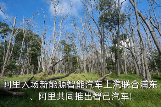 阿里入場(chǎng)新能源智能汽車上汽聯(lián)合浦東、阿里共同推出智己汽車!