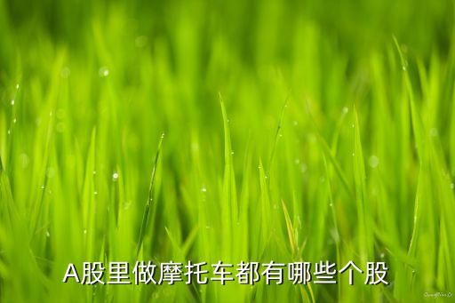 A股里做摩托車(chē)都有哪些個(gè)股