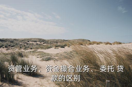 資管業(yè)務(wù)、資金撮合業(yè)務(wù)、 委托 貸款的區(qū)別