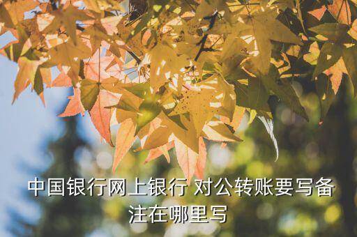 中國(guó)銀行對(duì)公客戶服務(wù)平臺(tái)