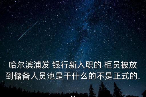 哈爾濱浦發(fā) 銀行新入職的 柜員被放到儲(chǔ)備人員池是干什么的不是正式的...