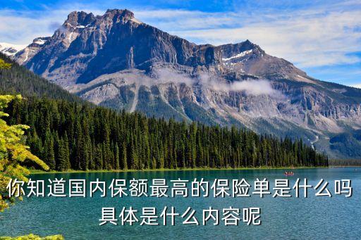 你知道國內(nèi)保額最高的保險(xiǎn)單是什么嗎具體是什么內(nèi)容呢