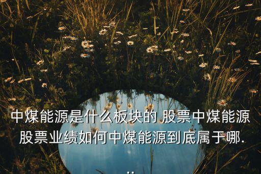 中煤能源是什么板塊的 股票中煤能源 股票業(yè)績(jī)?nèi)绾沃忻耗茉吹降讓儆谀?..