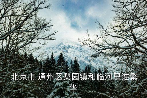  北京市 通州區(qū)梨園鎮(zhèn)和臨河里誰(shuí)繁華