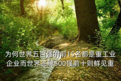 為何世界五百強的前15名都是重工業(yè)企業(yè)而世界品牌500強前十則鮮見重...