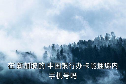 在 新加坡的 中國(guó)銀行辦卡能捆綁內(nèi)手機(jī)號(hào)嗎