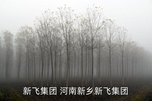 新飛集團 河南新鄉(xiāng)新飛集團