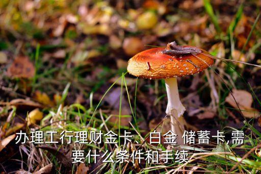 辦理工行理財金卡、白金 儲蓄卡,需要什么條件和手續(xù)